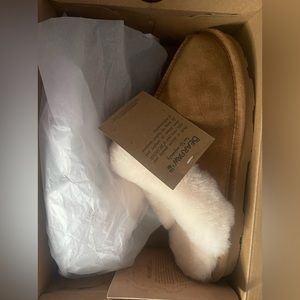 bearpaw slippers